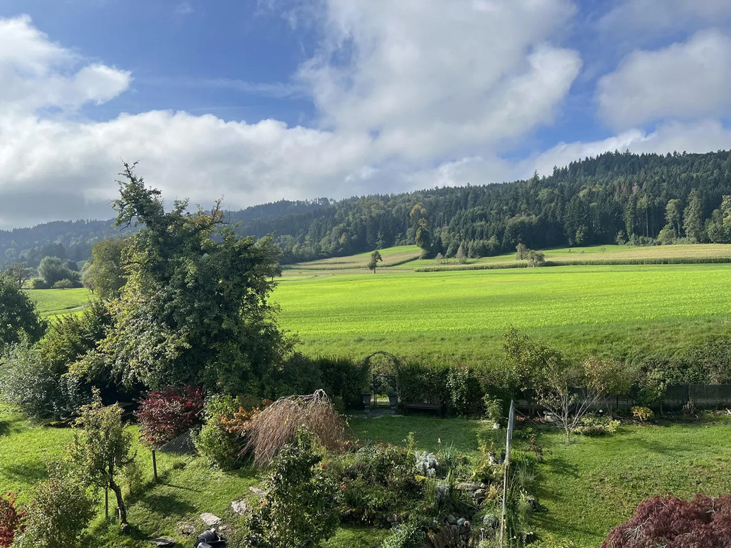 Vivere a contatto con la natura in una posizione vicina alla città - Foto 8 di 11