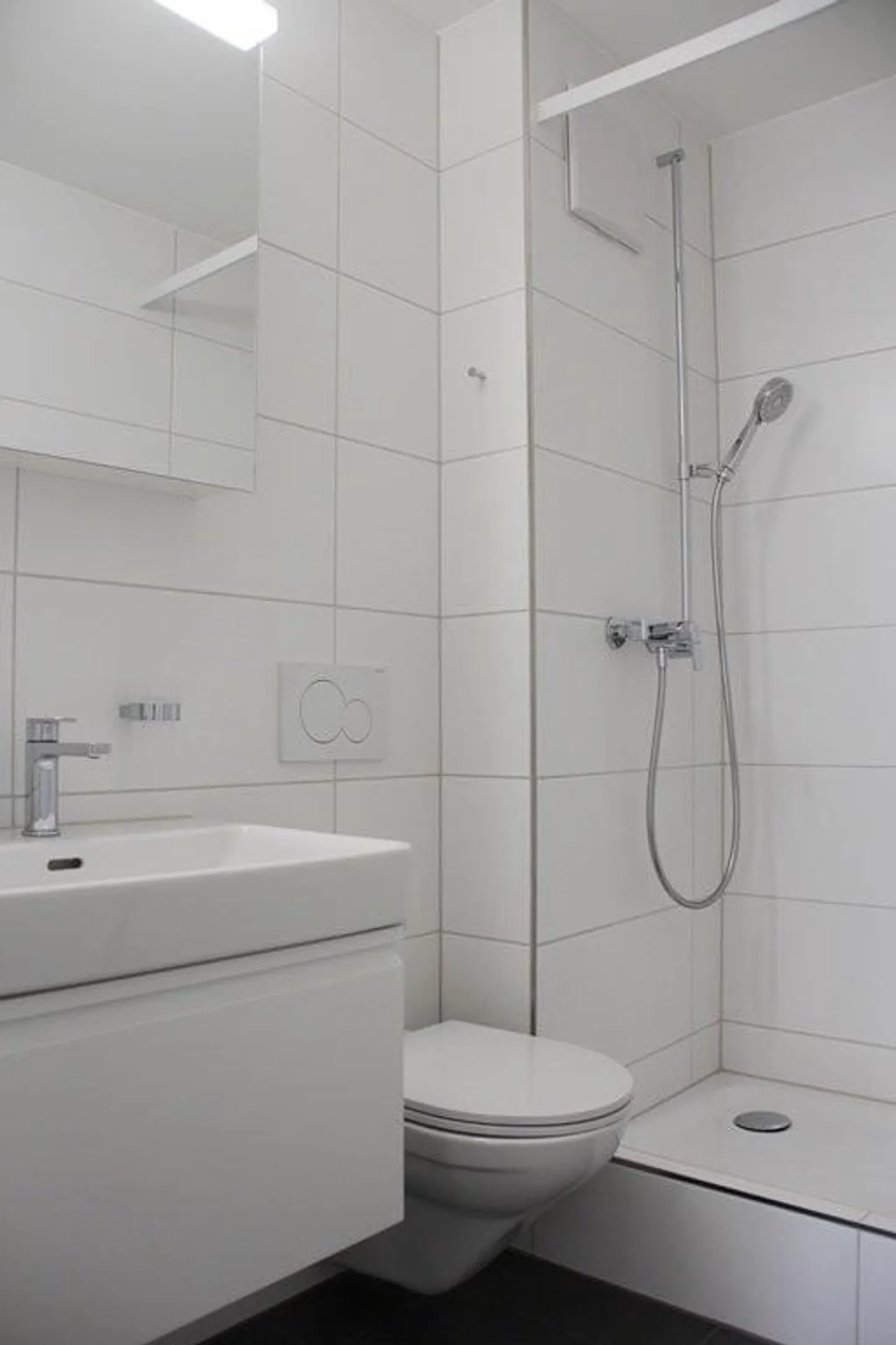 Renovated apartment with beautiful balcony overlooking greenery - Photo 5 of 6