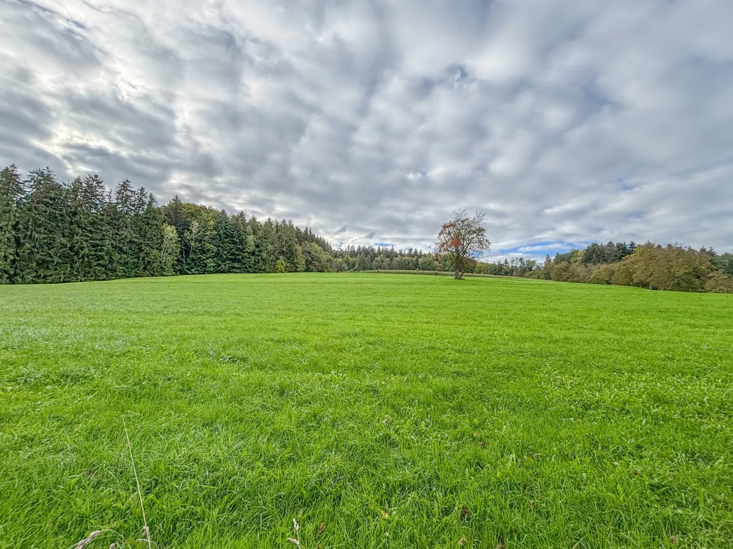 maison individuelle bien ensoleillée dans un endroit calme - Photo 4 sur 10
