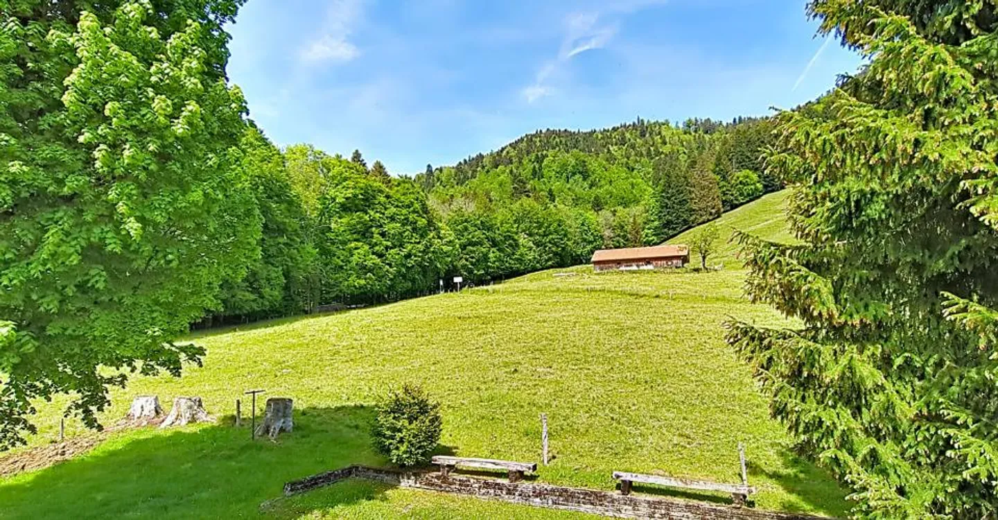 Grand chalet in the heart of nature and close to Vevey and Montreux - Photo 12 of 15