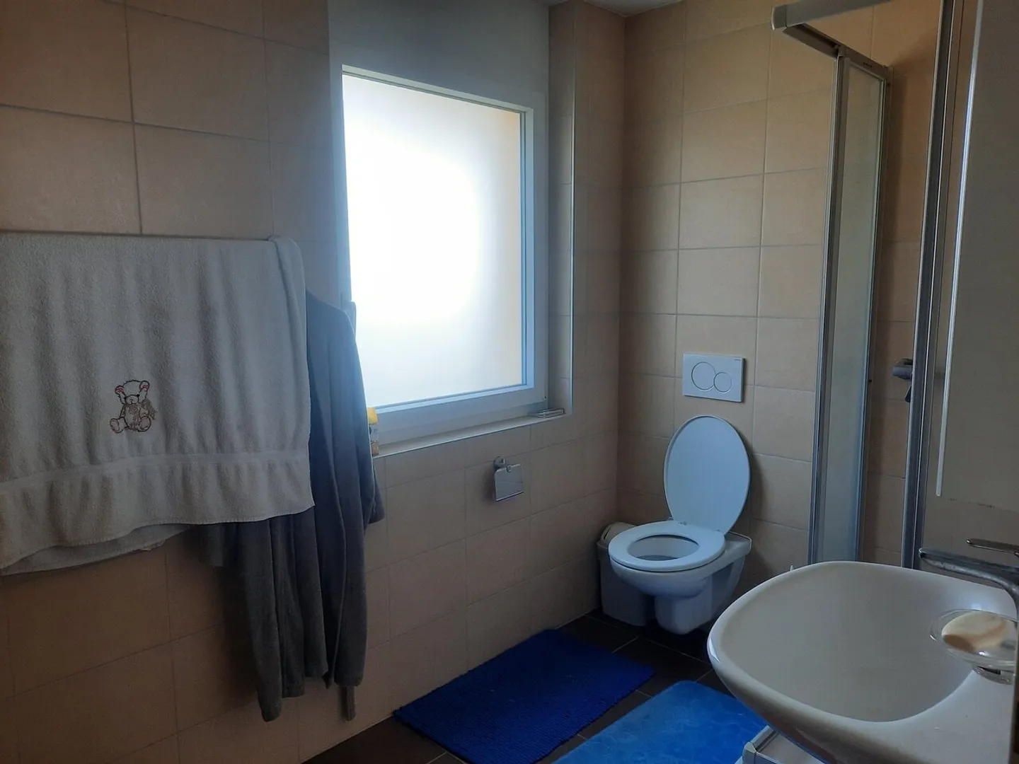 Chevilly Apartment - 3 Rooms - Photo 3 of 13