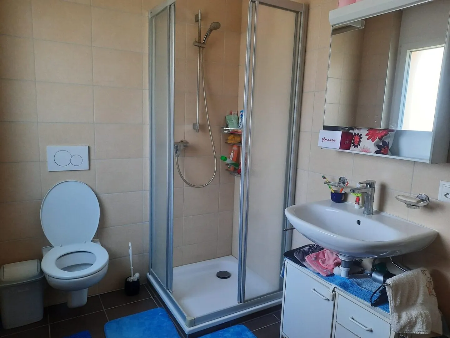 Chevilly Apartment - 3 Rooms - Photo 4 of 13