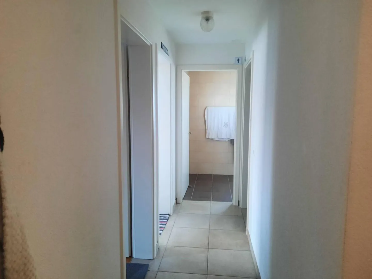 Chevilly Apartment - 3 Rooms - Photo 8 of 13