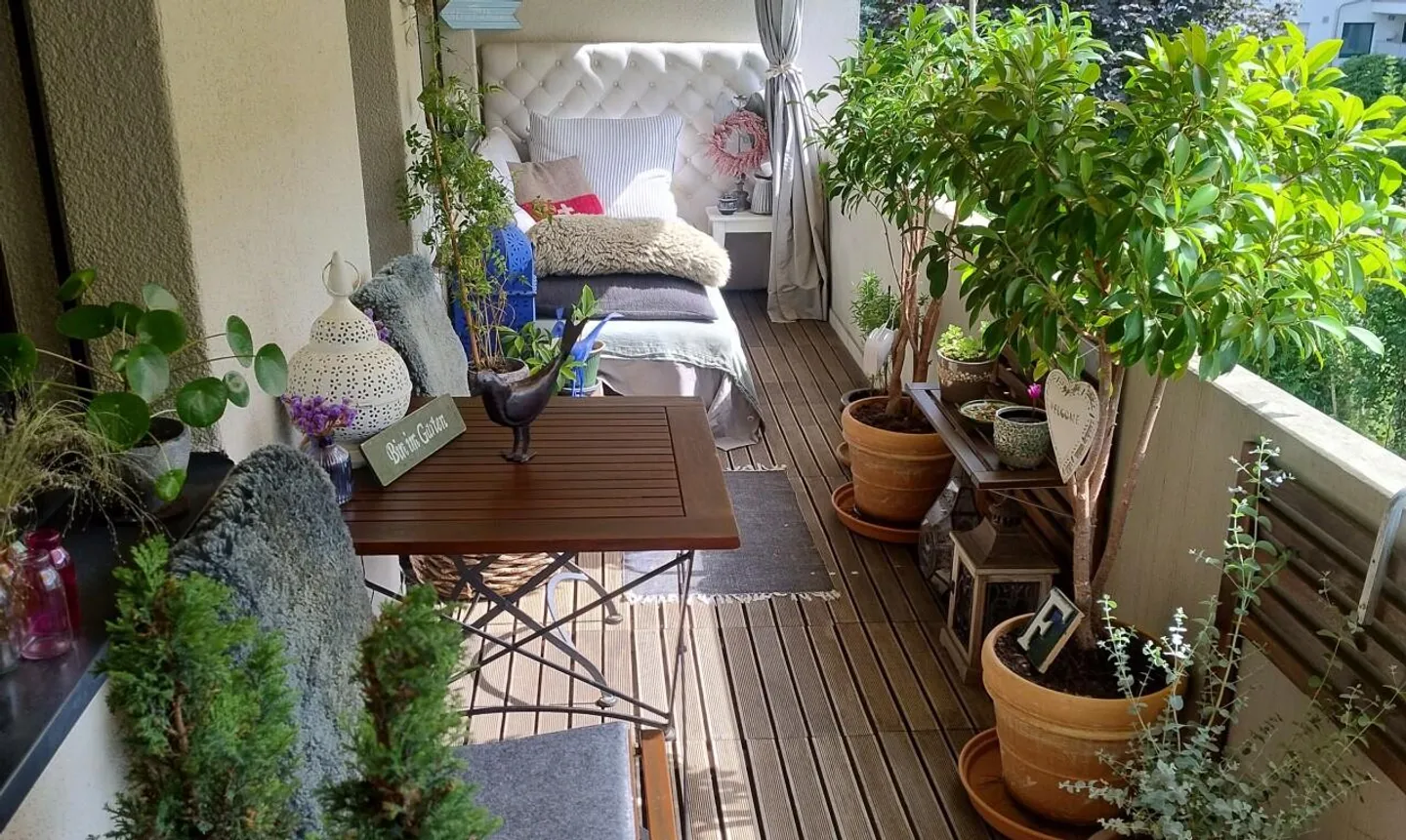 Charmante Wohnung am Uetliberg - Foto 2 von 11