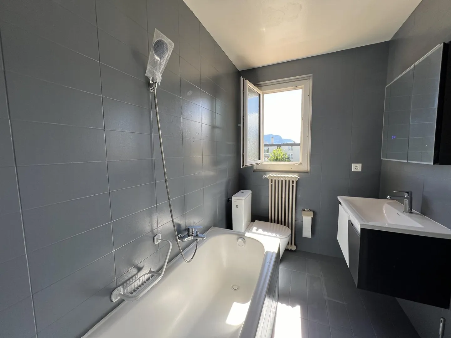 Wohnung mit renovierter Ausstattung und herrlichem Blick auf den See und die Alpen - Photo 5 sur 8