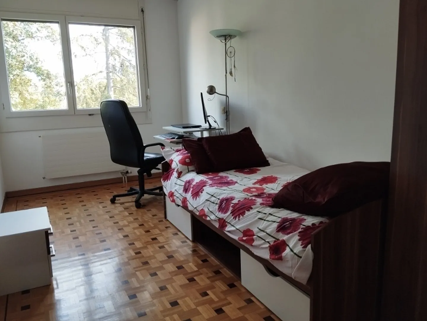 Appartamento Ginevra - 5 stanze - Foto 2 di 10