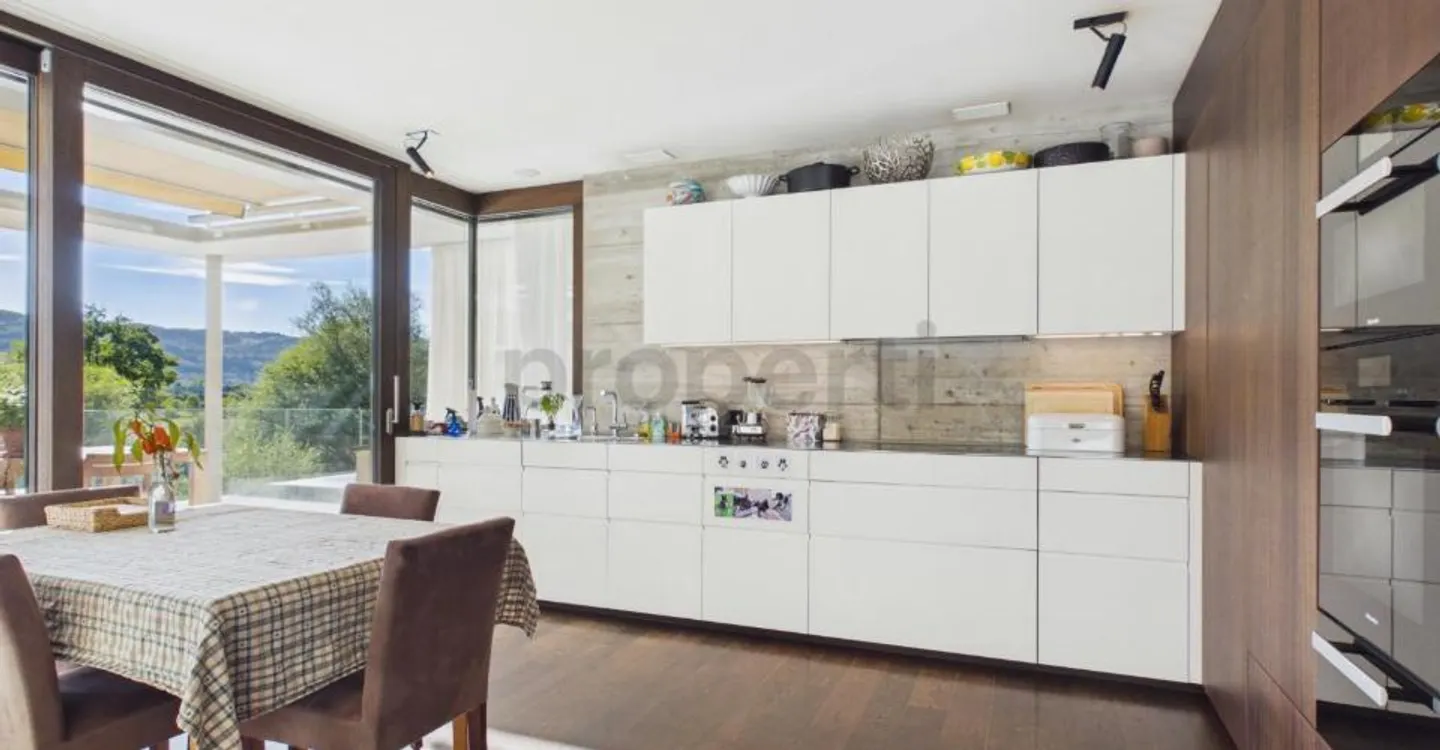 Exclusive terrace apartment with a view of greenery and the Limmat, an oasis with a private pool and spacious rooms - Photo 4 of 13
