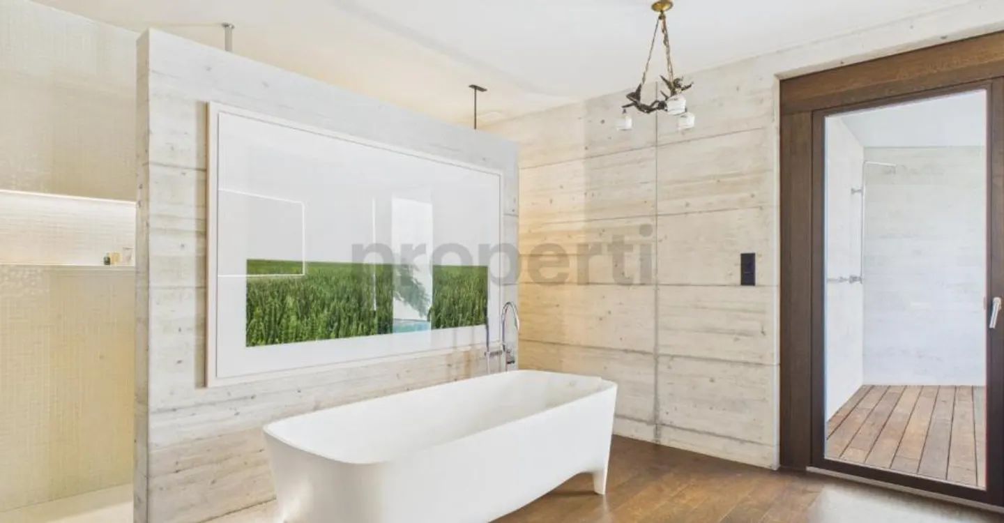 Exclusive terrace apartment with a view of greenery and the Limmat, an oasis with a private pool and spacious rooms - Photo 9 of 13