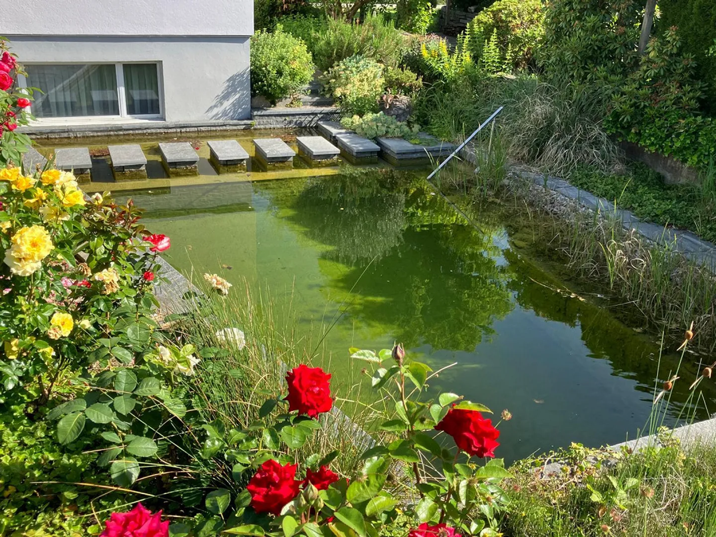 Maison individuelle rénovée de 5,5 pièces avec piscine et étang naturel - Photo 5 sur 18
