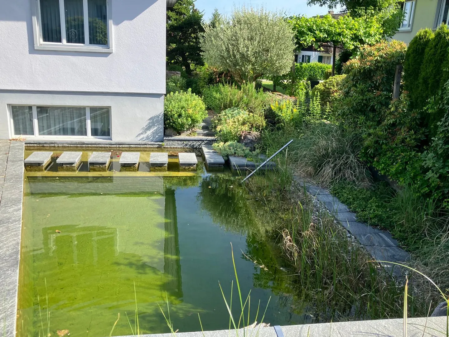 Maison individuelle rénovée de 5,5 pièces avec piscine et étang naturel - Photo 12 sur 18