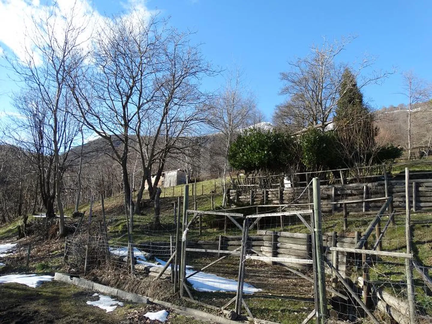 Fattoria in vendita - Foto 5 di 6