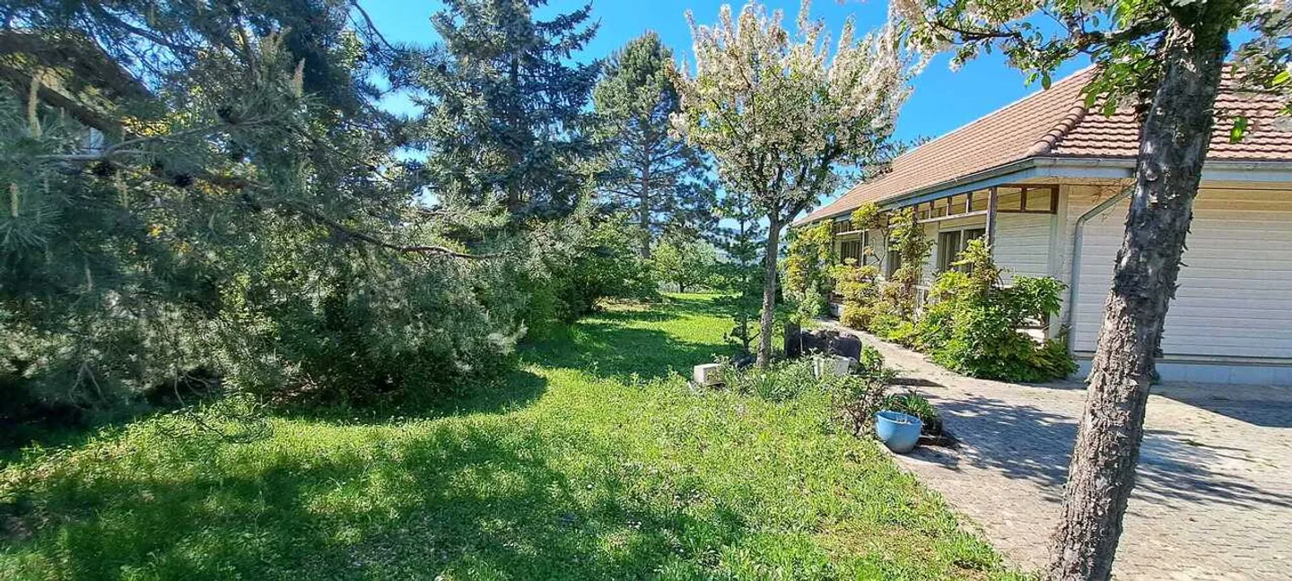 Villa 5,5 Zimmer - Foto 4 von 14
