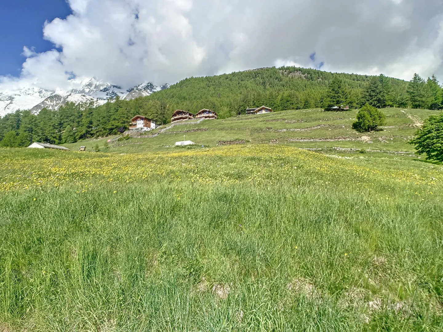 Building plot in ideal location - Photo 3 of 8