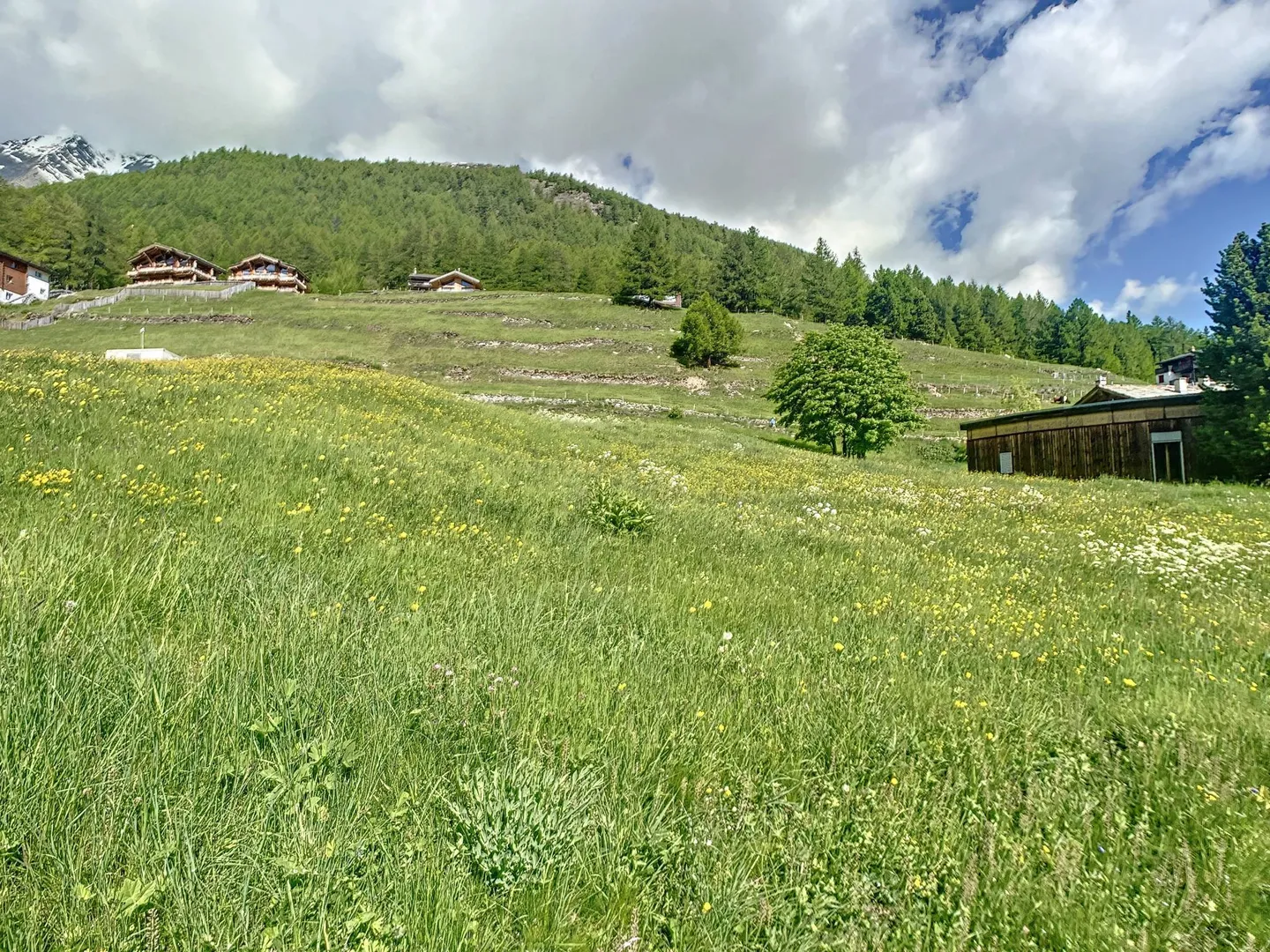 Building plot in ideal location - Photo 4 of 8