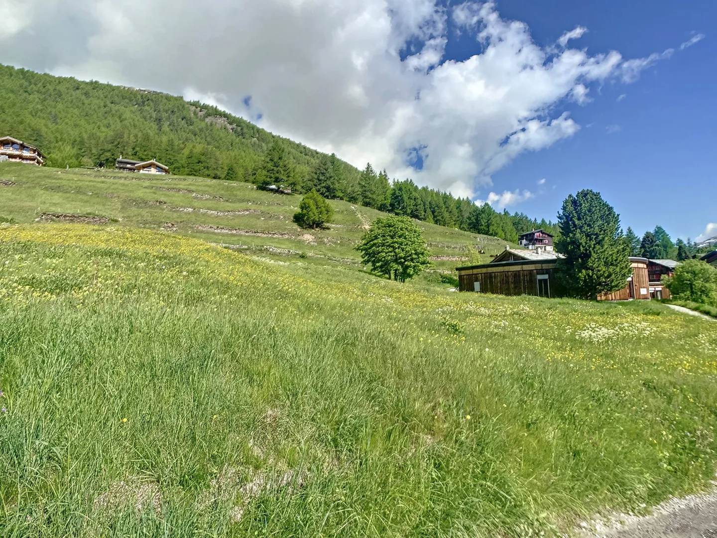 Building plot in ideal location - Photo 8 of 8