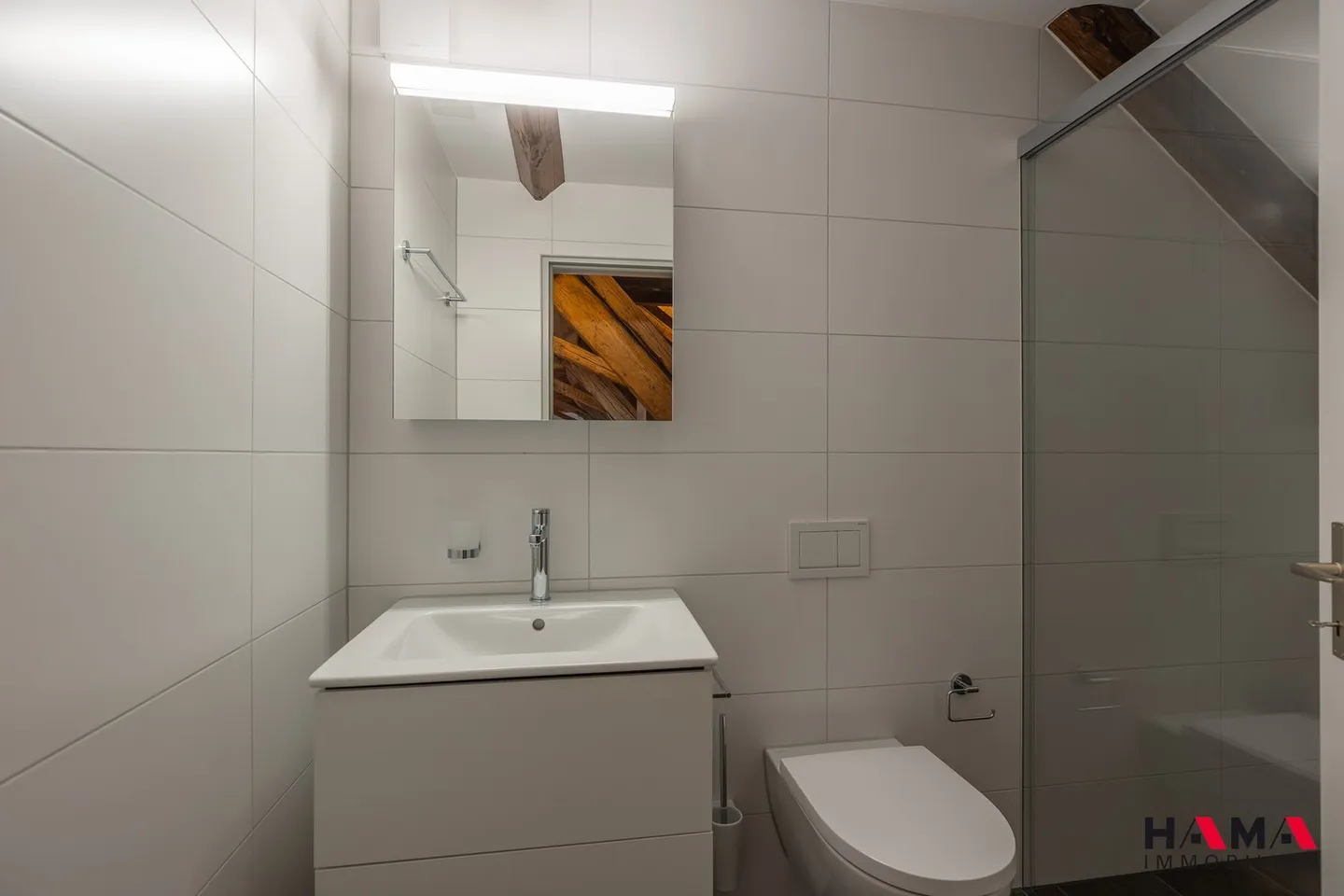 FIRST RENTAL 5.5-Room Loft Apartment with Balcony - Photo 9 of 14