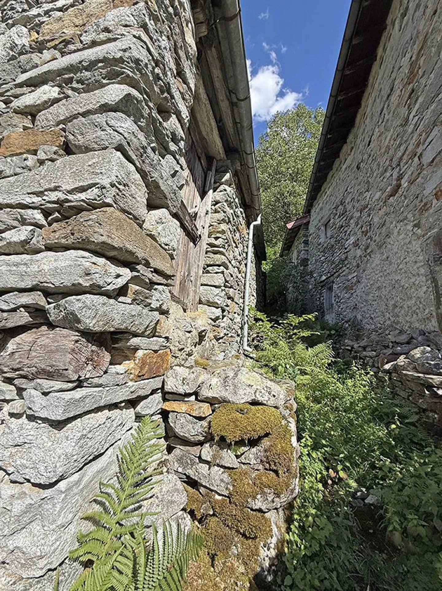 Val Bavona - Loc. Roseto - 2 Rustico for Renovation with Building Land - Photo 3 of 17