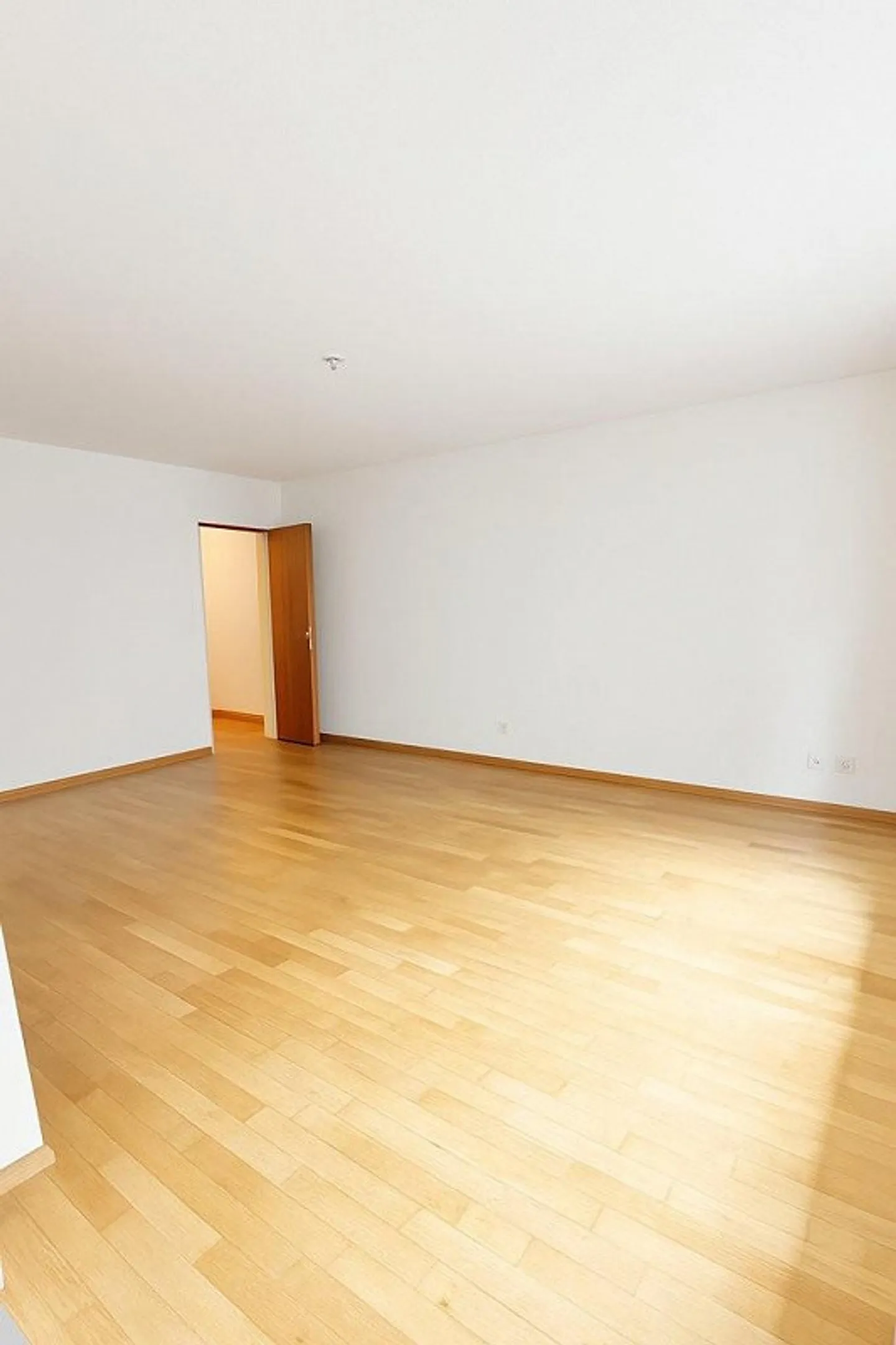 Renovated apartment in a quiet location near Rosenfeldpark - Photo 5 of 11