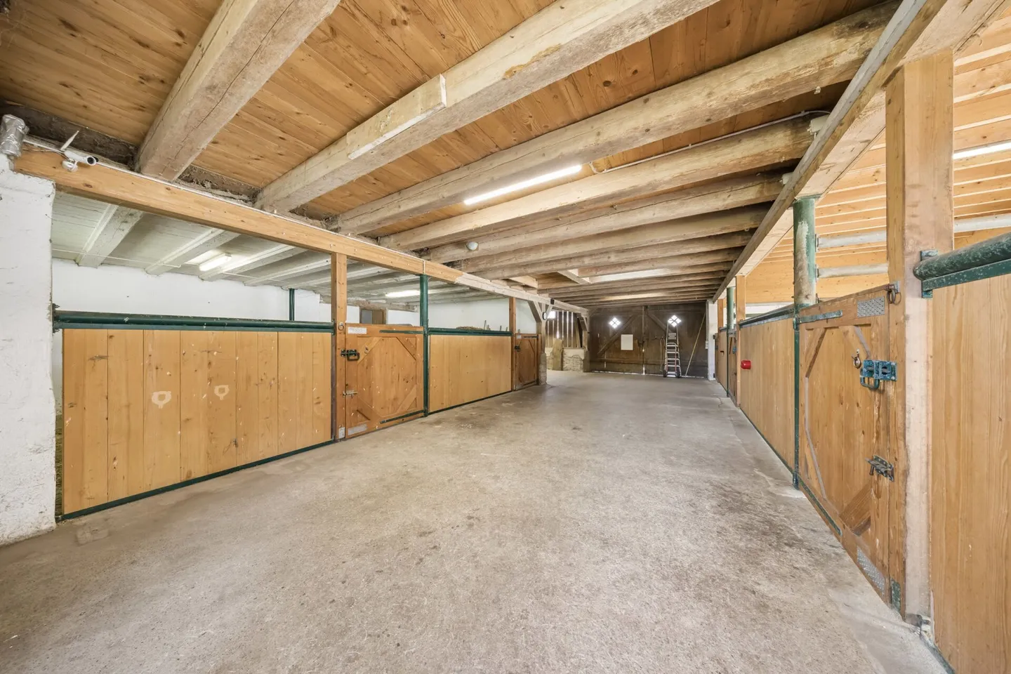 ROW HOUSE WITH BARN SECTION AND SPACE FOR 8 HORSES - Photo 6 of 10