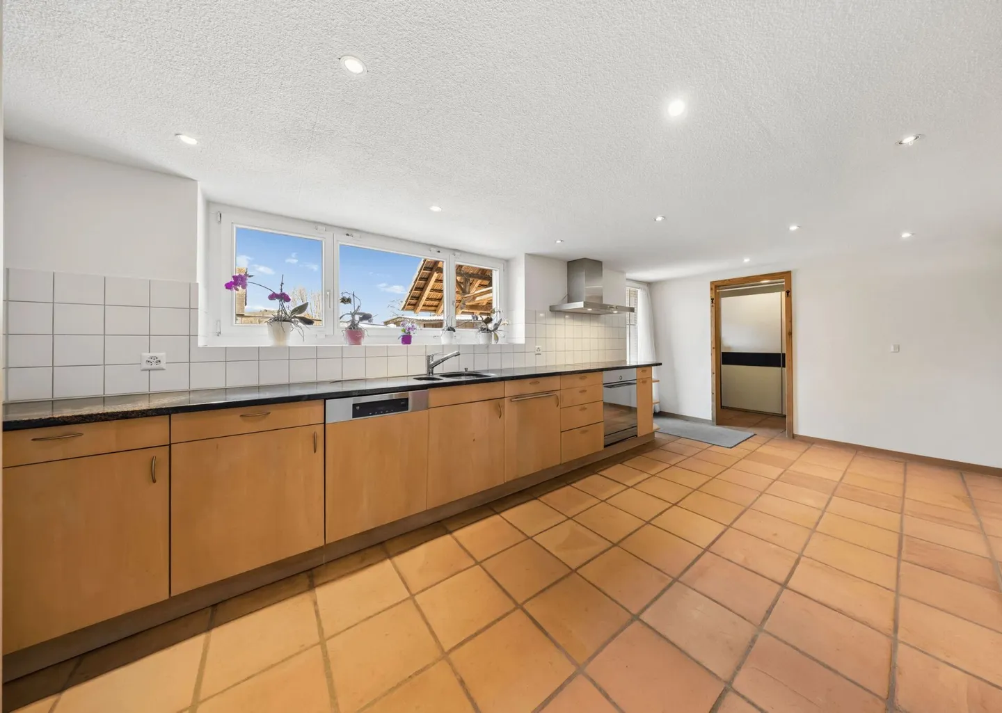 ROW HOUSE WITH BARN SECTION AND SPACE FOR 8 HORSES - Photo 3 of 10