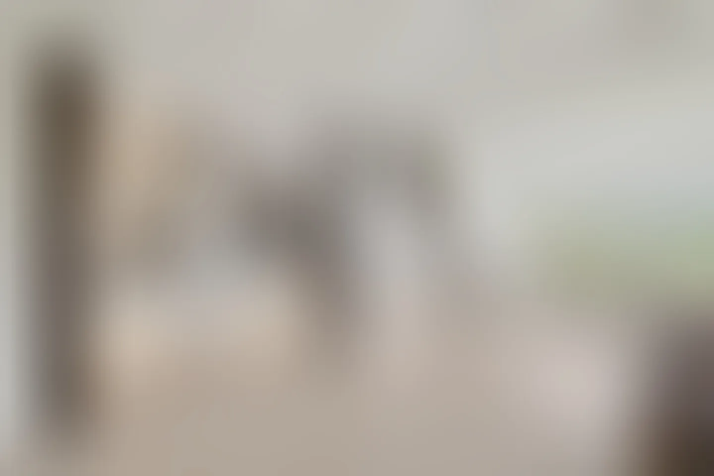 Appartamento in vendita - Foto 1 di 1