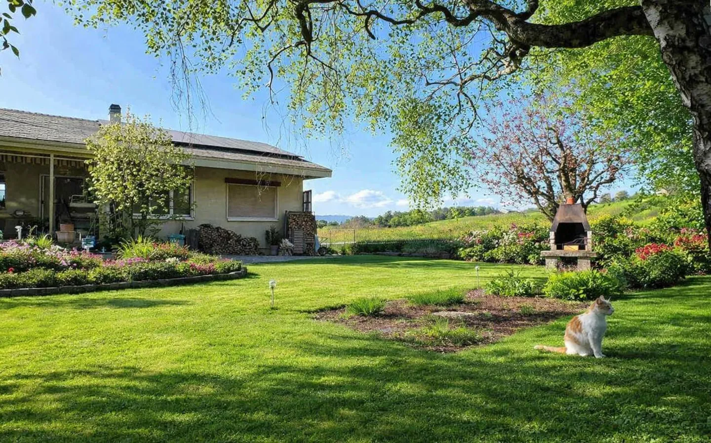 Stupenda Villa con Grande Giardino - Foto 11 di 12