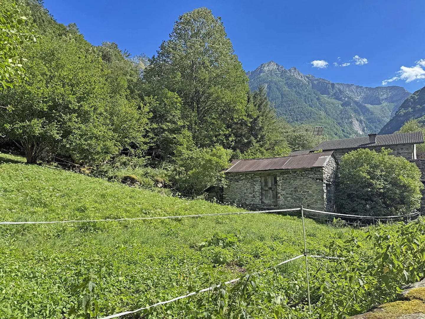 2 Rustico for renovation with building land - Photo 10 of 17