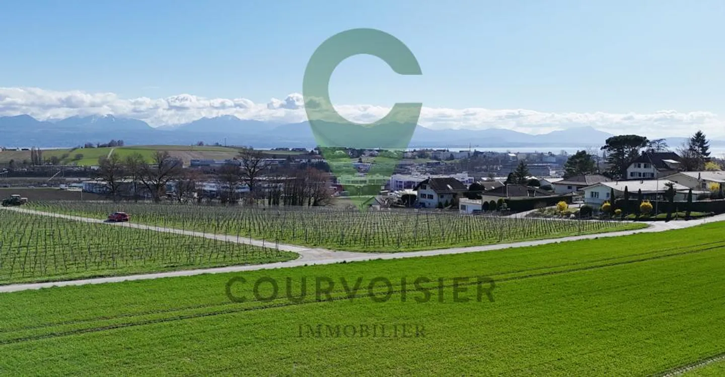 Uncommon House a Stone's Throw from Morges - Photo 4 of 12
