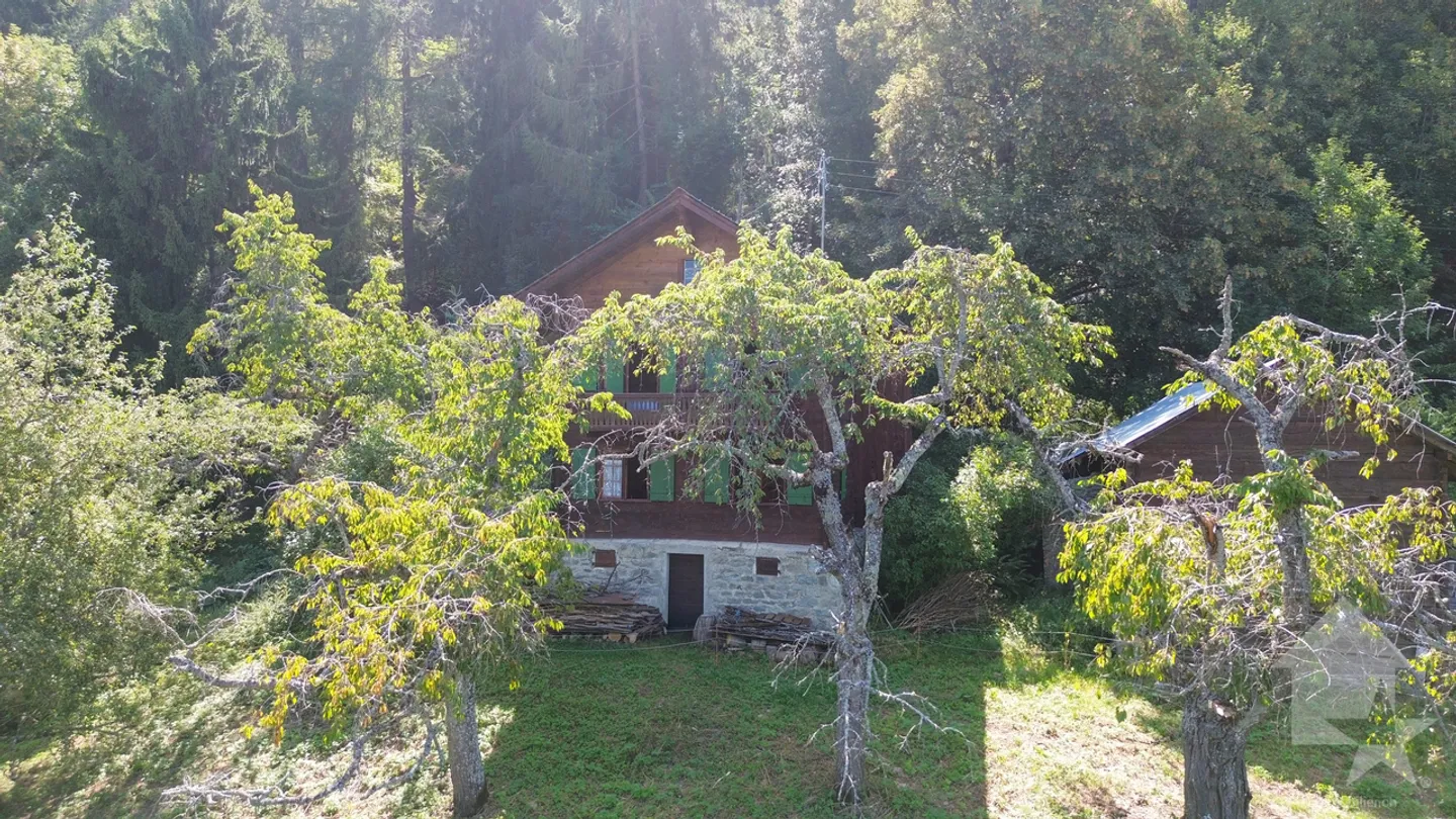 Chalet autentico del Vallese a 6 minuti dalle piste da sci di Veysonnaz - Foto 27 di 32