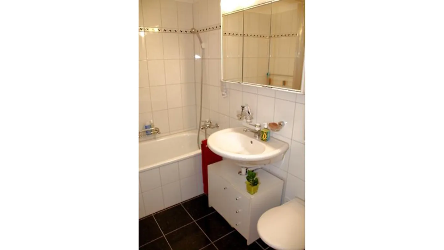APPARTEMENT 3½ PIÈCES À KLOTEN (ZH), MEUBLÉ, TEMPORAIRE - Photo 6 sur 10