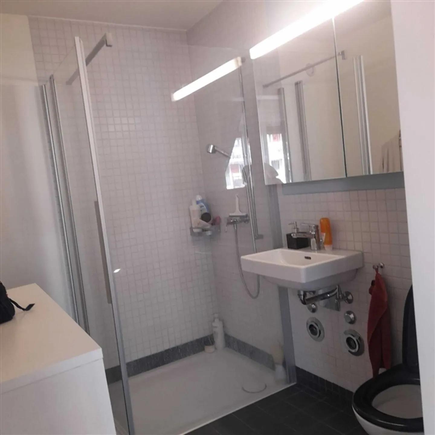 STUDIO A SCHLIEREN (ZH), ARREDATO, TEMPORANEO - Foto 4 di 4