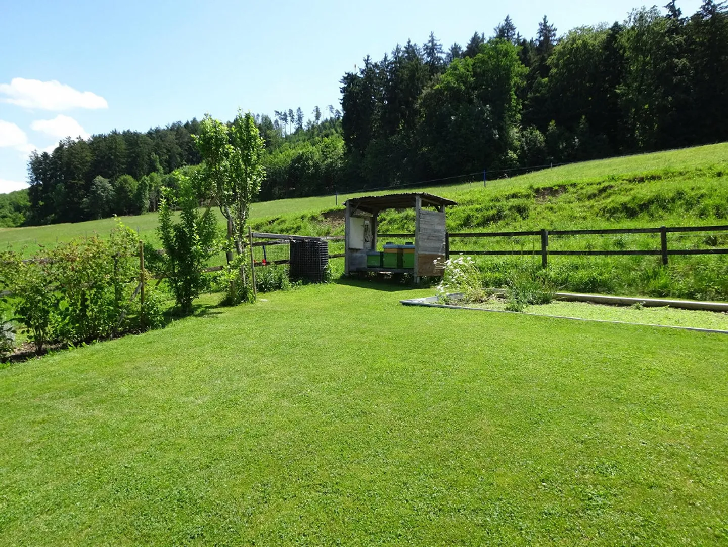 Family Paradise Near the Train Station - Photo 3 of 12