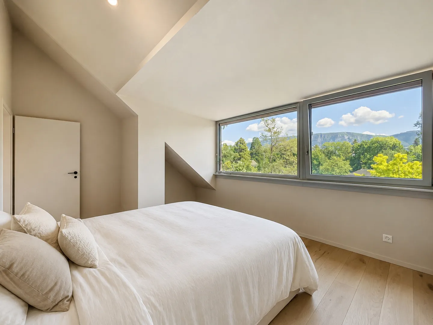 Villa unifamiliare straordinaria a Grand Lancy - Foto 14 di 19