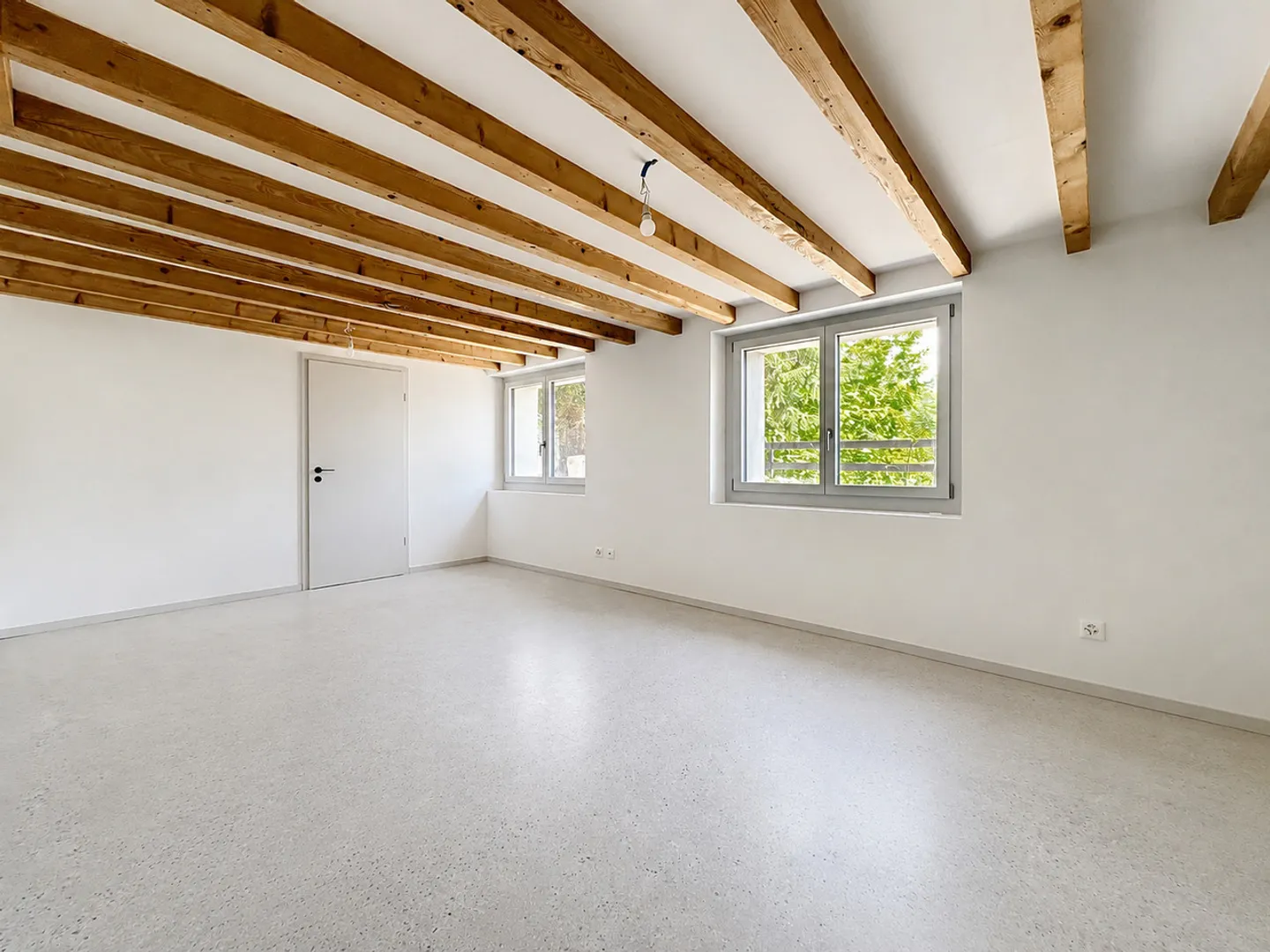 Villa unifamiliare straordinaria a Grand Lancy - Foto 18 di 19