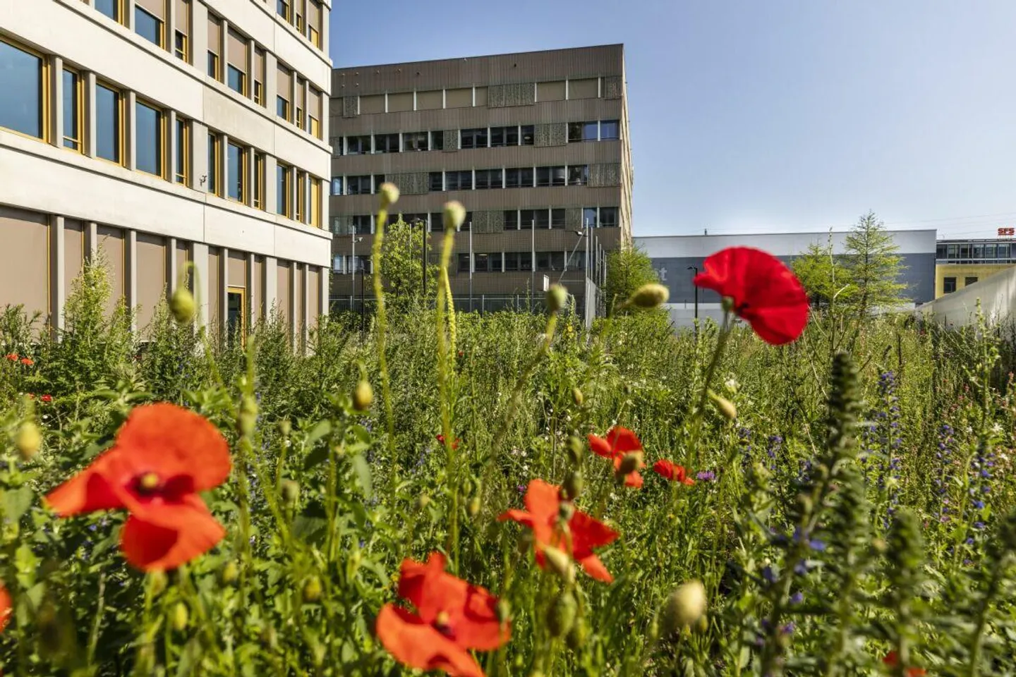 Bürofläche in Suurstoffi - Foto 3 von 15