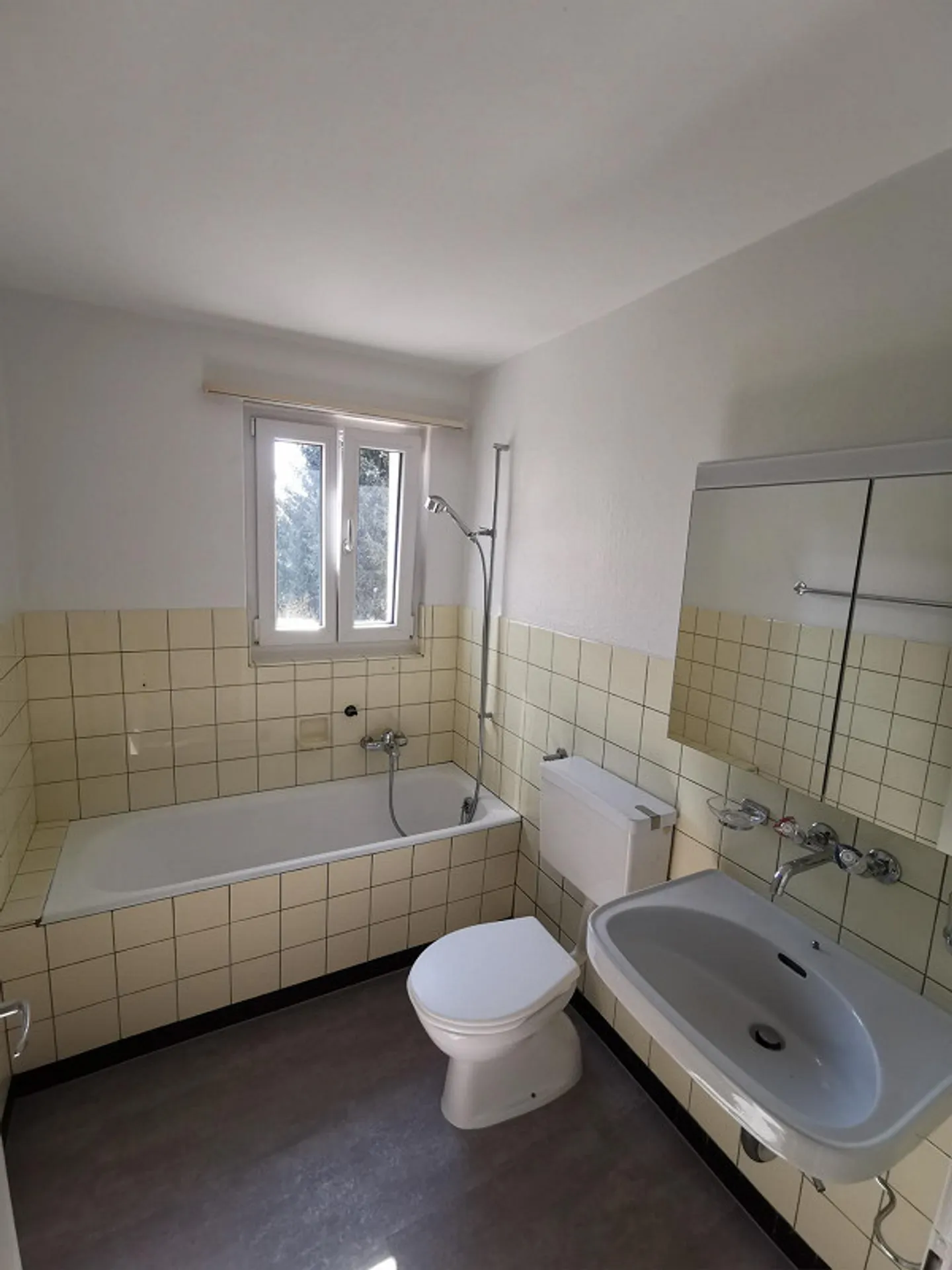 Helle 3-Zimmerwohnung in Hunzenschwil - Foto 3 von 6