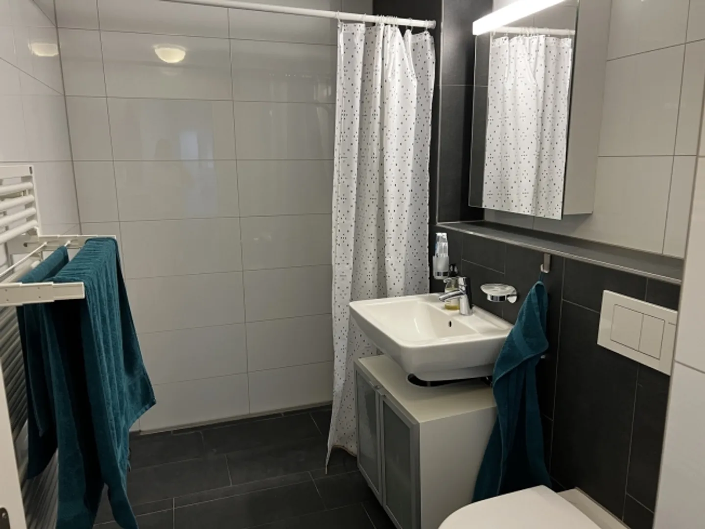 «2½ ZIMMER-ATTIKAWOHNUNG IN BADEN (AG), MÖBLIERT, TEMPORÄR» - Foto 5 von 8