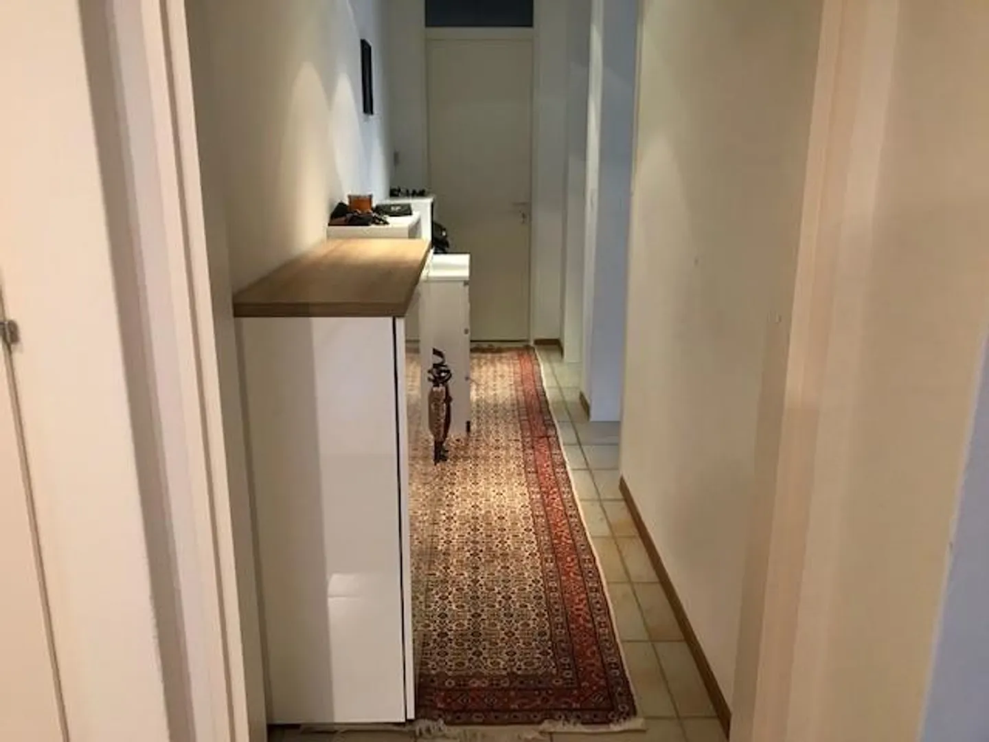 SOLIVO Appartamento 3.5 locali con giardino privato - Foto 7 di 13