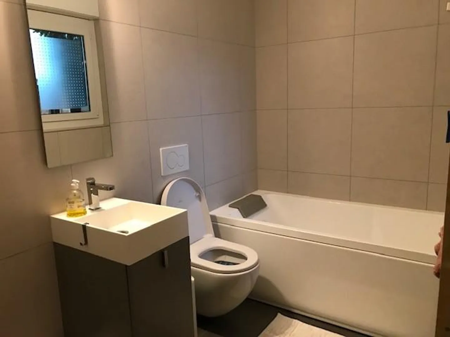 SOLIVO Appartamento 3.5 locali con giardino privato - Foto 10 di 13