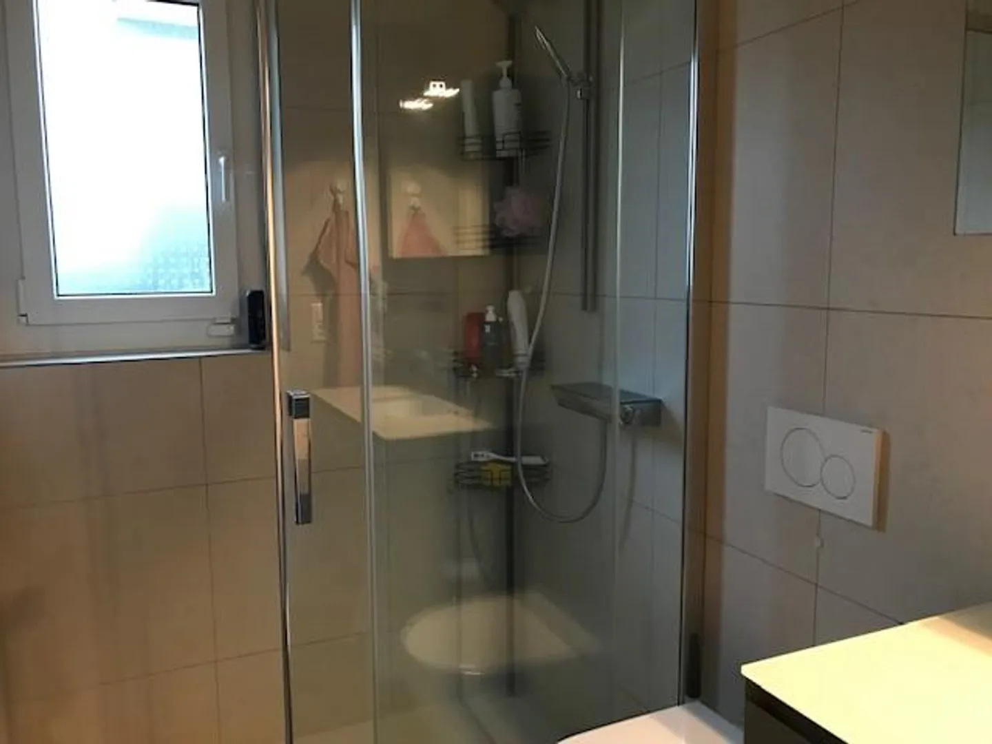 SOLIVO Appartamento 3.5 locali con giardino privato - Foto 11 di 13