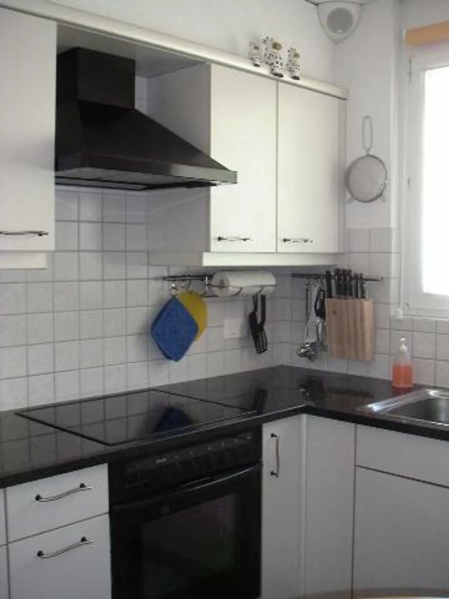 3.5 Room Apartment with Large Patio - Photo 3 of 10