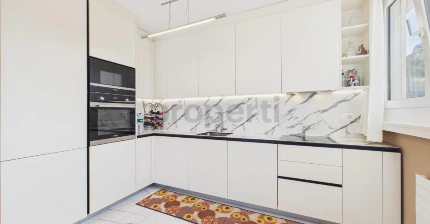 Elegant 4.5 Room Penthouse Renovated with Panoramic Lake View - Photo 2 of 8
