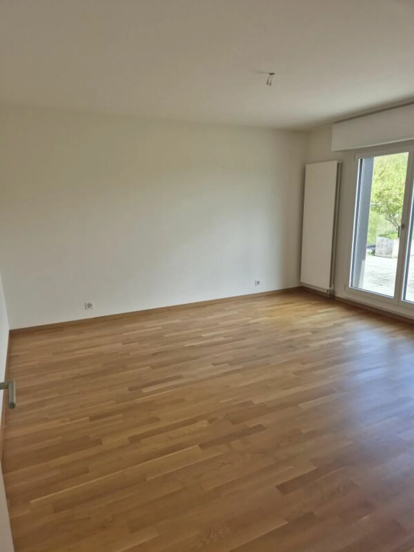 Sunny Attic Apartment - Photo 2 of 13