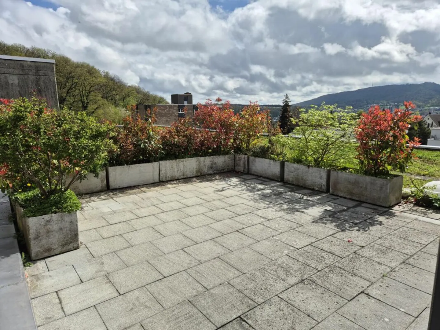 Sunny Attic Apartment - Photo 8 of 13