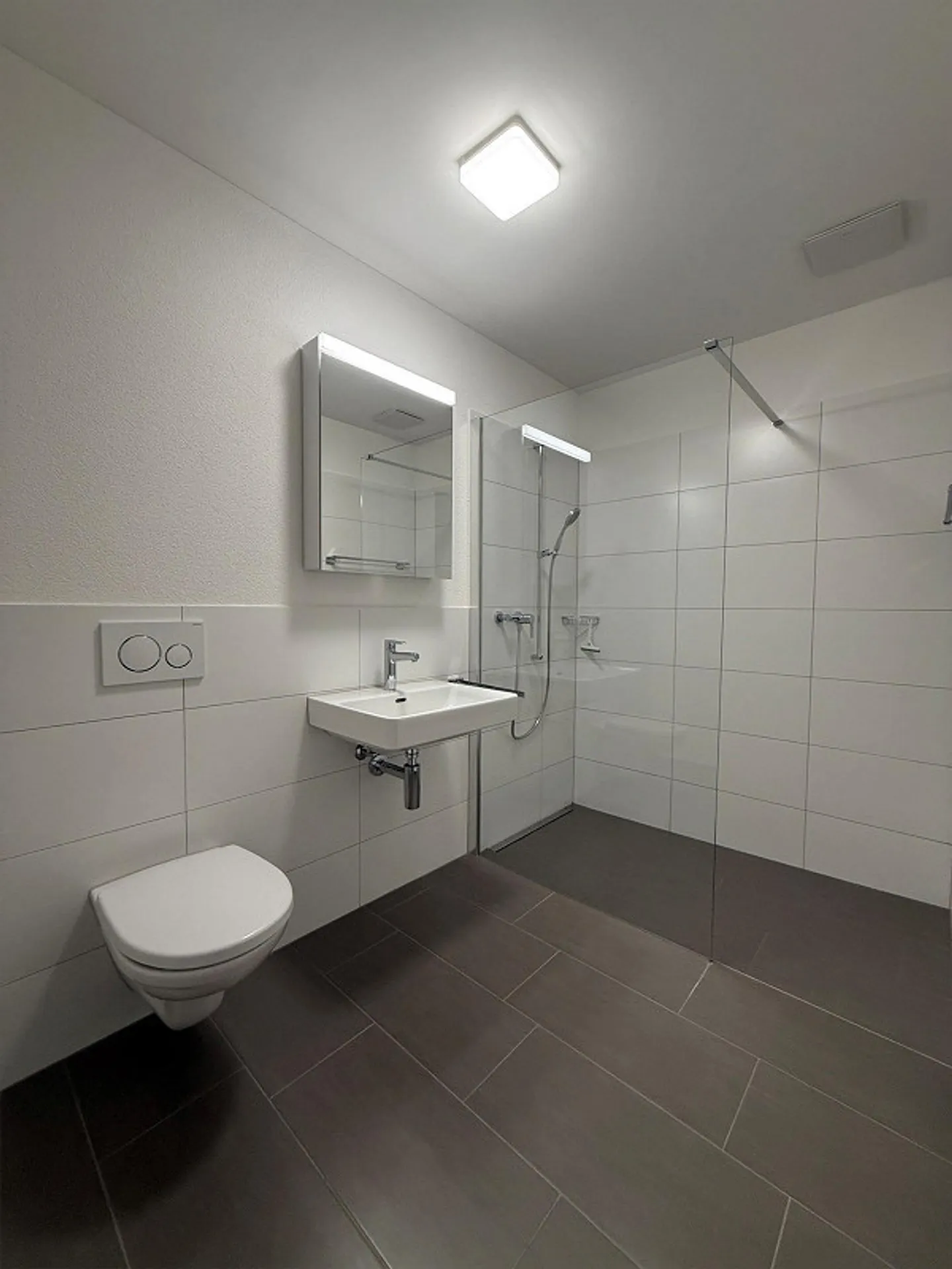 4.5 Room Apartment for Rent in Root! - Photo 2 of 5