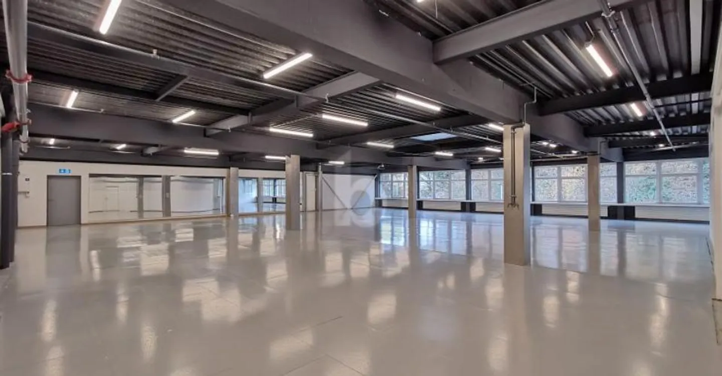 MULTIFUNCTIONAL ROOM - OFFICE - STORAGE - PRODUCTION - Photo 1 of 5