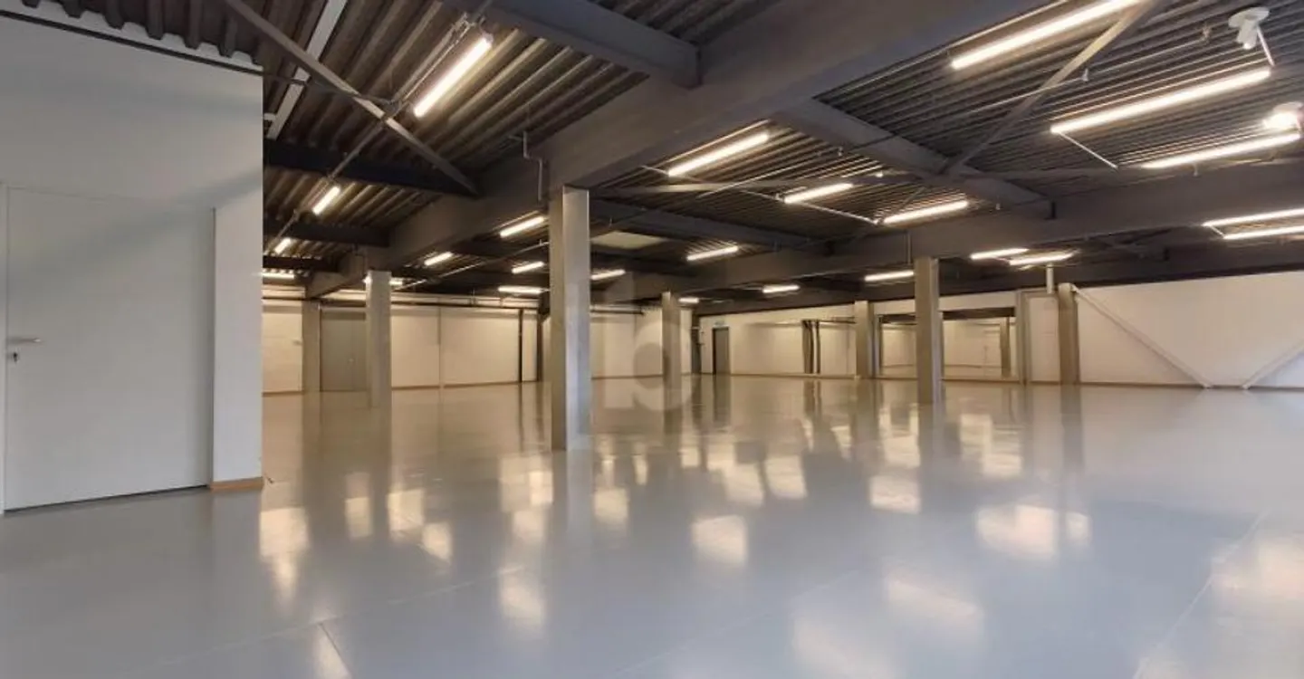 MULTIFUNCTIONAL ROOM - OFFICE - STORAGE - PRODUCTION - Photo 2 of 5