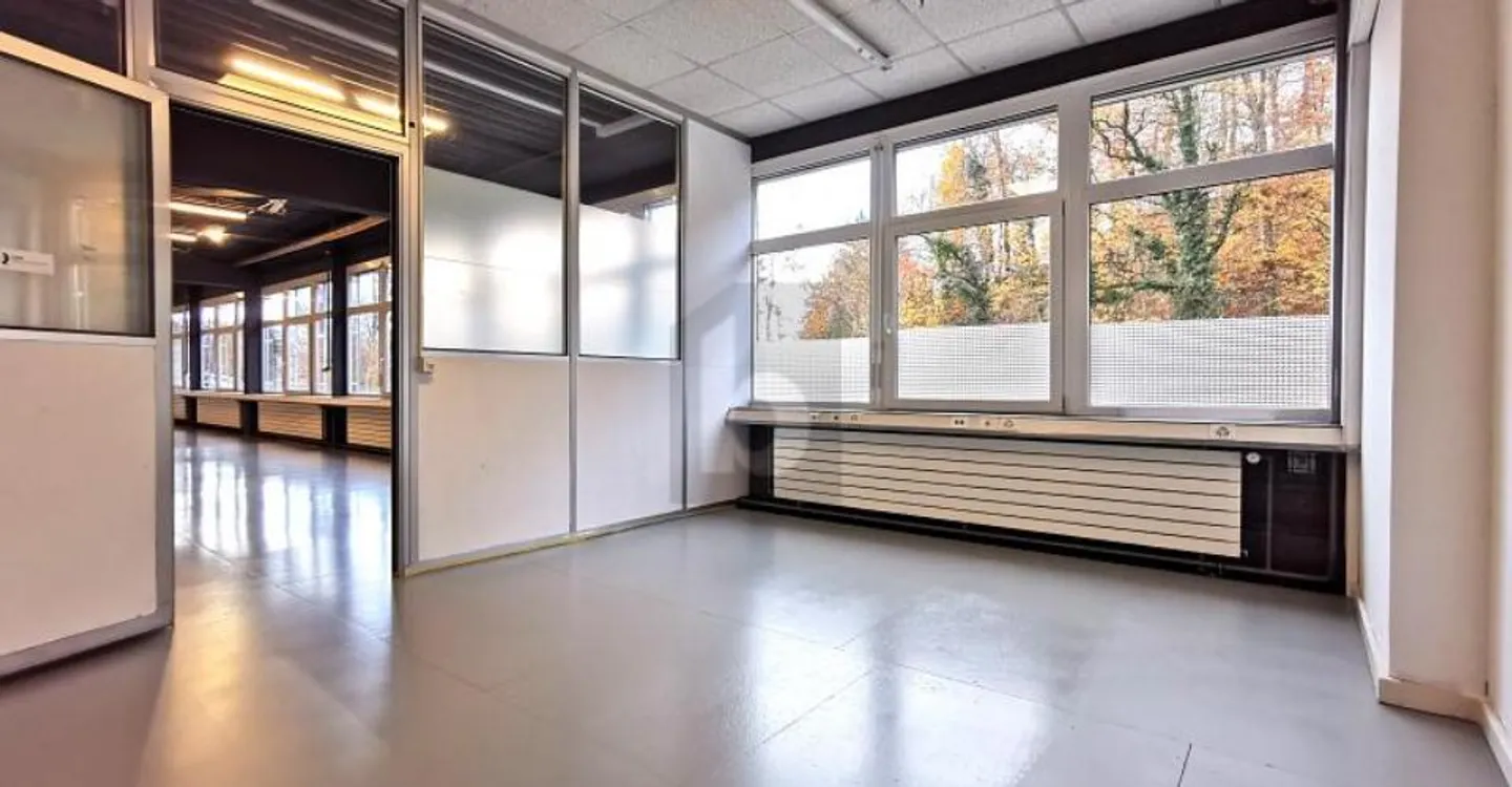 MULTIFUNCTIONAL ROOM - OFFICE - STORAGE - PRODUCTION - Photo 3 of 5