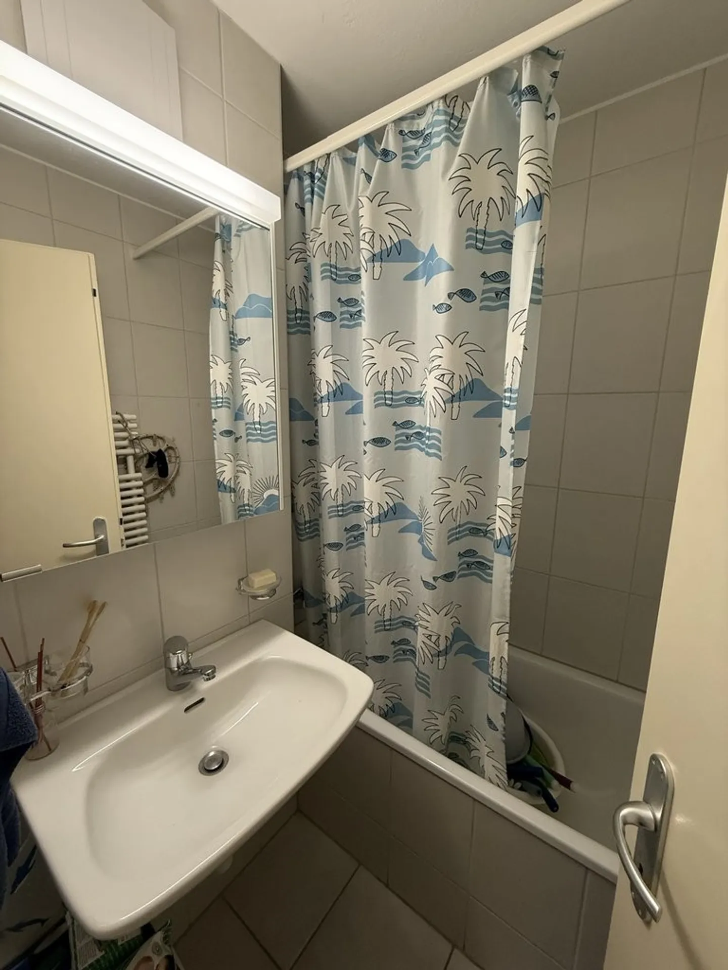 Beautiful bright 4-room apartment with balcony and lake view - Photo 3 of 7