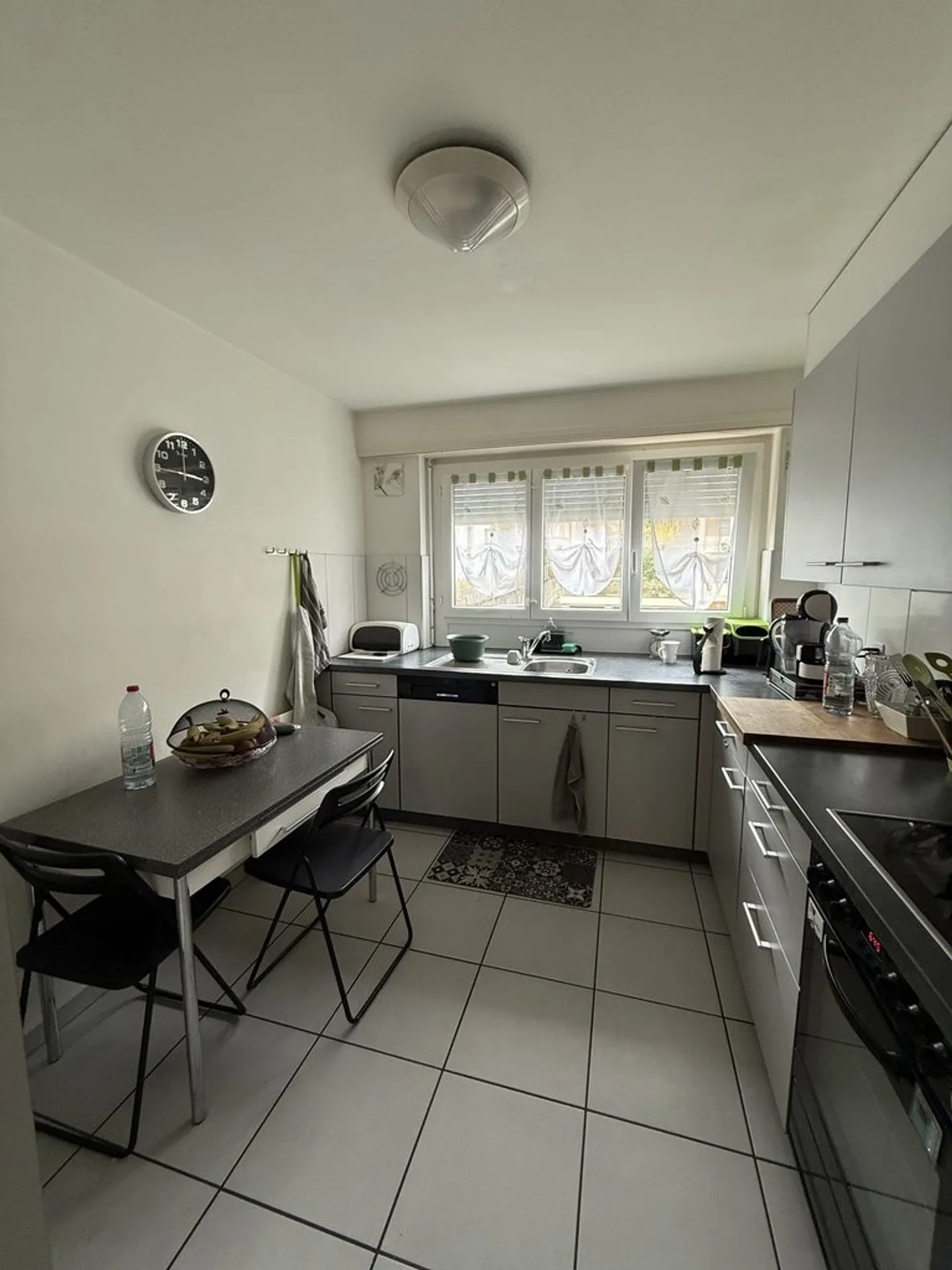 Beautiful bright 4-room apartment with balcony and lake view - Photo 1 of 7